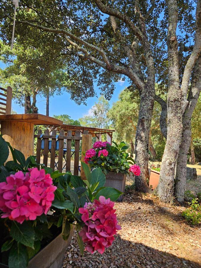 Domaine Authentique de Rose in Porto-Vecchio, Parc naturel régional de Corse