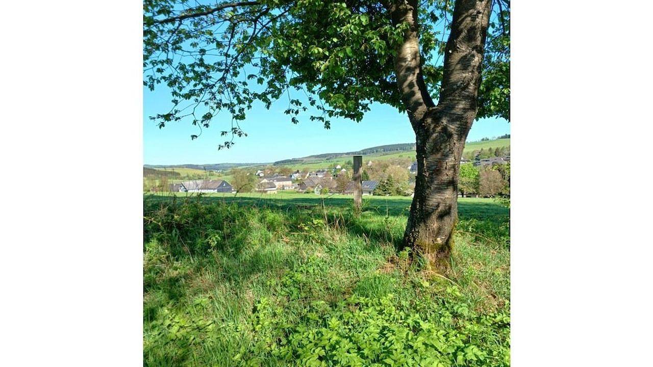 Ferienhaus für 12 Personen (200 m²) in Erndtebrück in Erndtebrück, Kreis Siegen-Wittgenstein