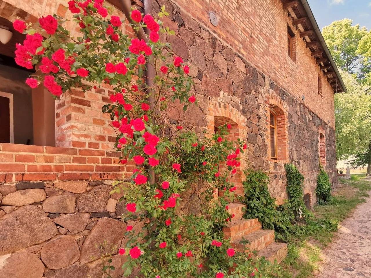 Ganze Wohnung, Studio Brennerei Haselberg in Wriezen, Märkische Schweiz-Oderland
