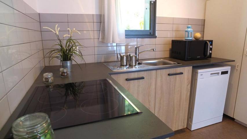 Parc de vacances pour 6 personnes, avec piscine et jardin, animaux acceptés en Auvergne - 4