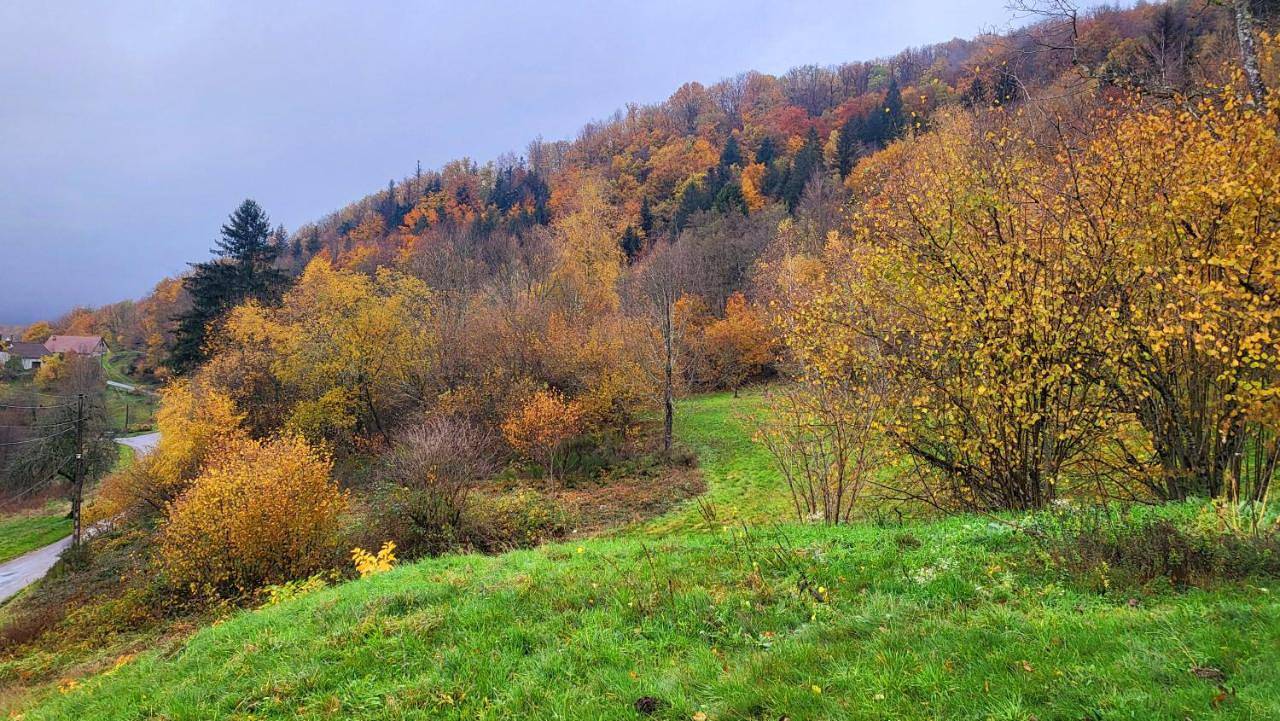Ecole de Belmont in Haut-du-Them-Château-Lambert, Parc naturel régional des Ballons des Vosges