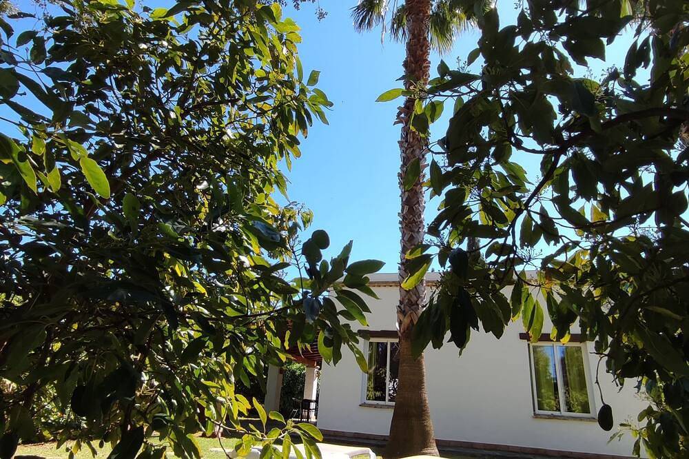 Finca la Hijuela, Casa Azahar in Vejer de la Frontera, Costa de la Luz