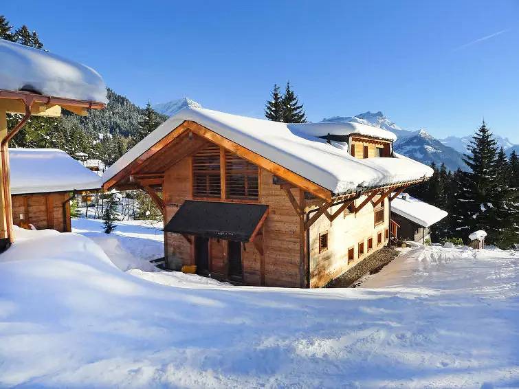 Chalet 8 Personnes in Villars-sur-Ollon, Ollon (Villars-sur-Ollon)