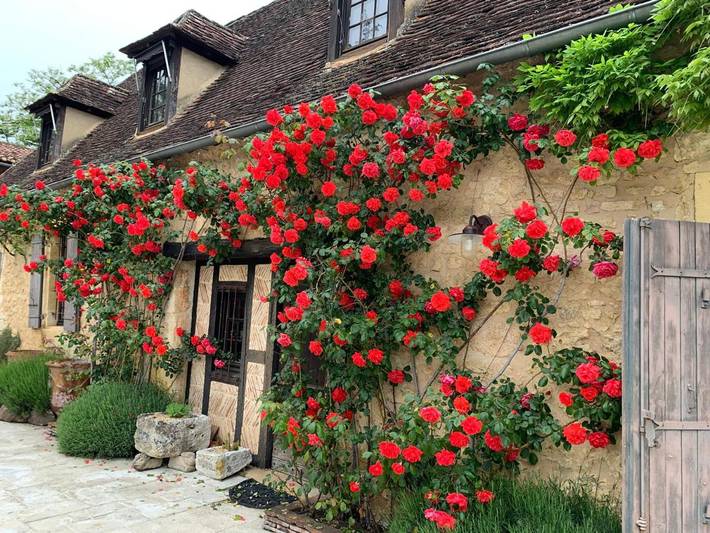 Location de vacances pour 2 personnes, avec jardin ainsi que piscine et vue à Cause-de-Clérans - 4