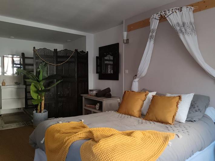 Chambre d’hôte pour 2 personnes, avec terrasse à Pontlevoy - 3