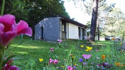 Chalet pour 6 Personnes dans Champs-sur-Tarentaine-Marchal, Massif central, Photo 3