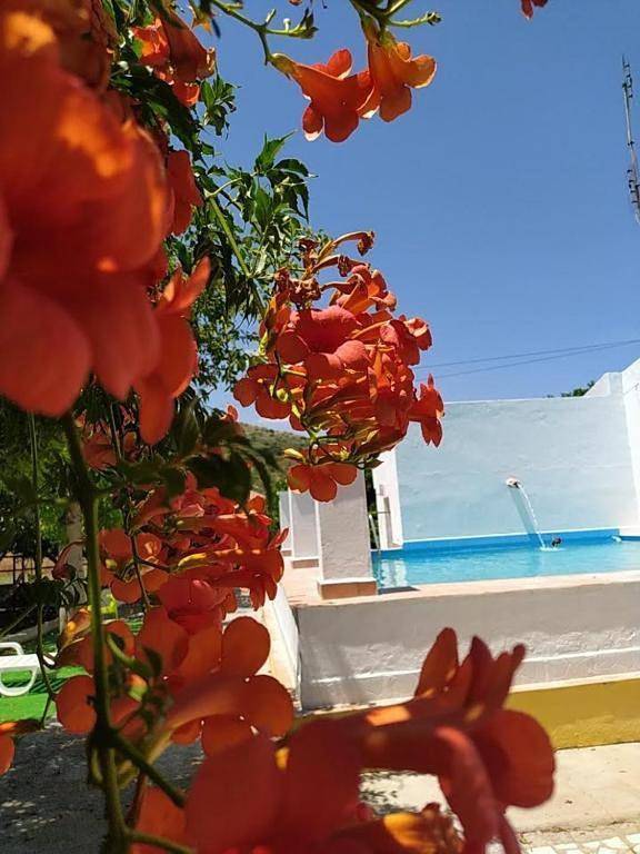 Apartamento inteiro, One-Bedroom Apartment in Caia, São Pedro e Alcáçova, Elvas
