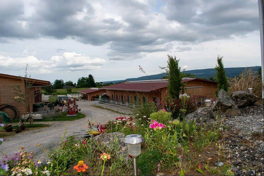 Ganze Ferienwohnung, Ferienwohnung Hof Hinteregg - 2-Zimmer-Wohnung, Pferdehof, Balkon, 63 qm in Gaienhofen, Untersee