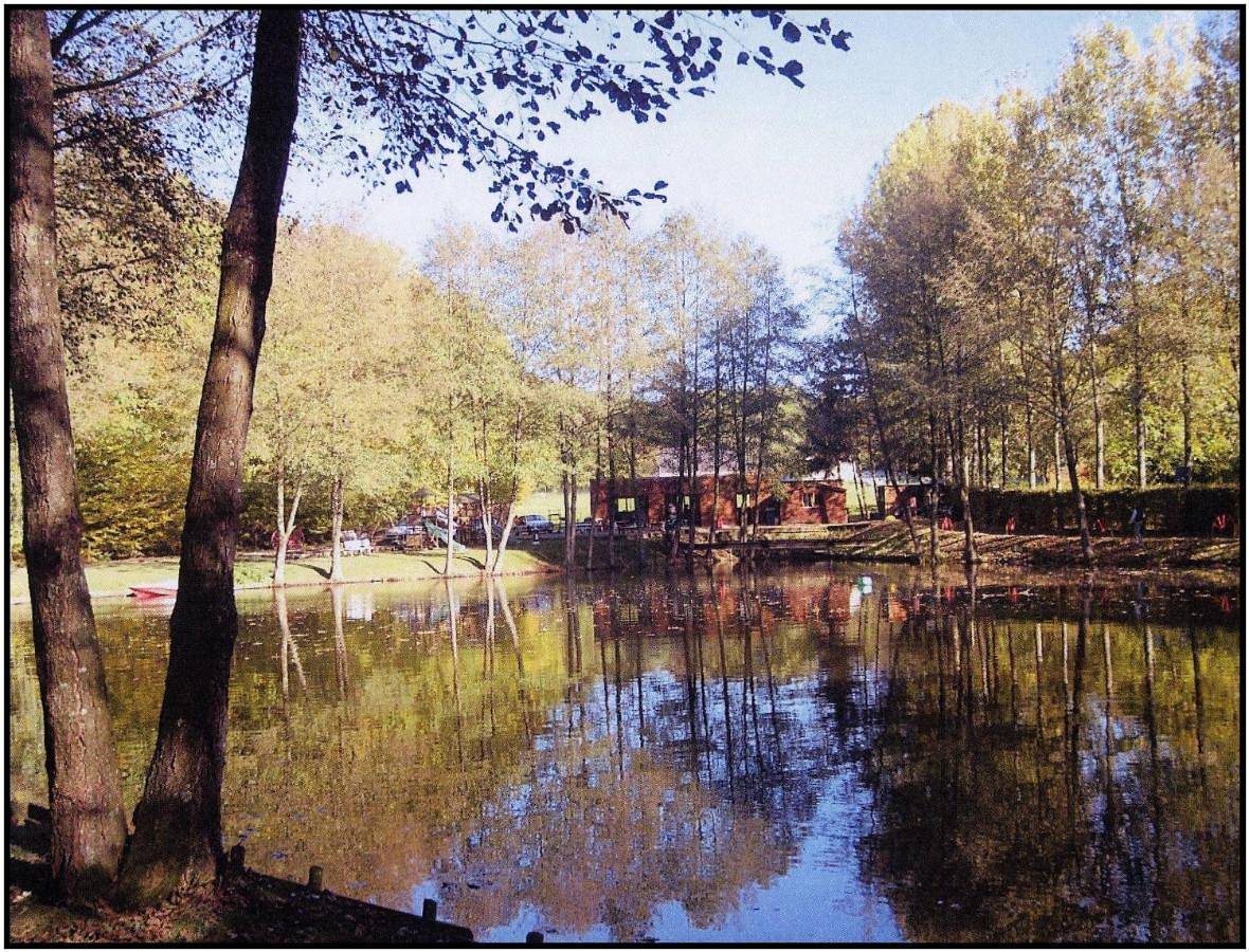 Le réveil des oiseaux in Saint-Michel, Aisne