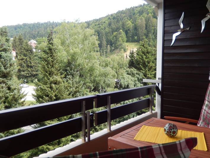 Ganzes Studio, Auszeit mit Pool - Studio 35 qm - sehr zentral gelegen in Todtmoos - Vordertodtmoos, Todtmoos