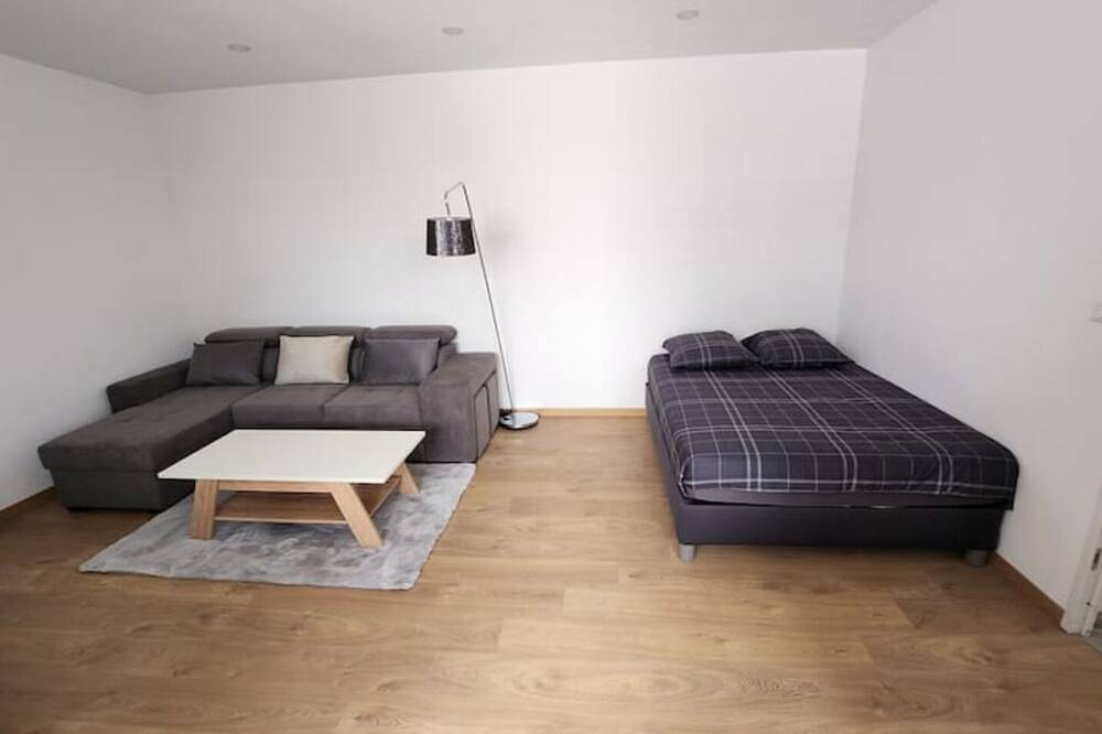 Appartement entier, Nice furnished studio renovated in Delle, Massif du Jura