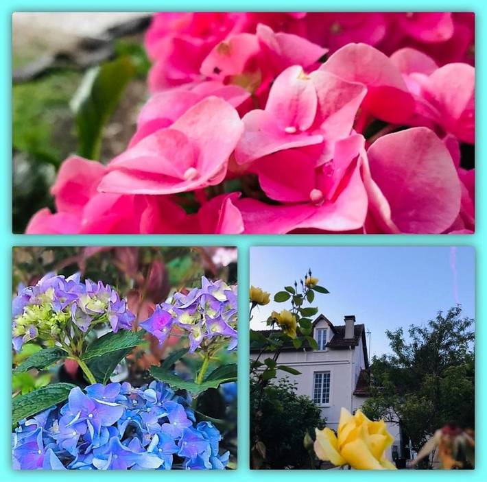 Chambre d’hôte pour 2 personnes, avec vue et jardin à Giverny - 2