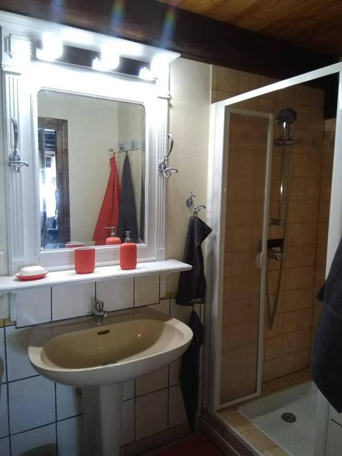 Appartement entier, Two-Bedroom Apartment in Rougemont-le-Château, Parc naturel régional des Ballons des Vosges