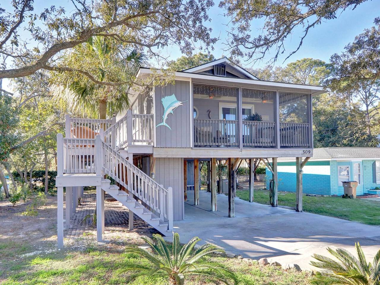 Blue Marlin in Tybee Island in Tybee Island, Chatham County