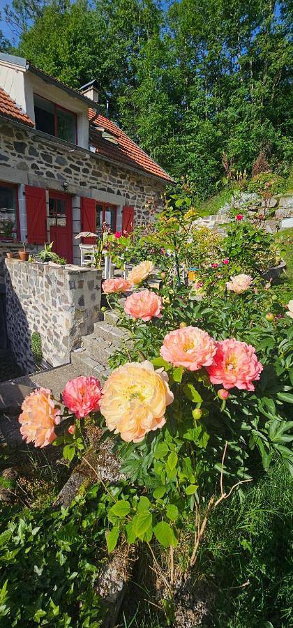 Chambre d’hôte pour 2 personnes, avec Terrasse et Jardin dans le Cantal - 3