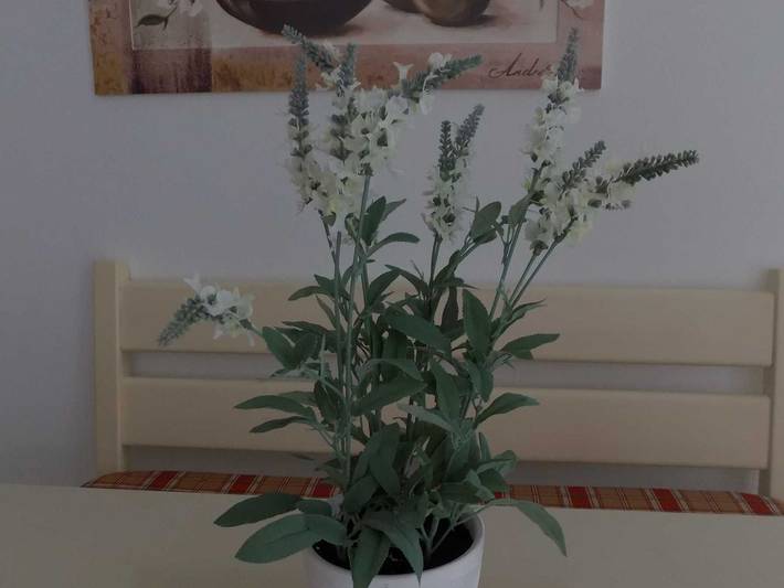 Ferienwohnung für 3 Personen, mit Garten und Balkon, mit Haustier in Schöfweg - 4