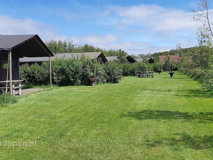 Glamping voor 25 personen, met Balkon/Terras en Terras in Nederlandse waddeneilanden