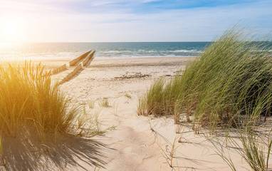 Ferienwohnung für 4 Personen in Koudekerke, Zeeuwse Kust, Bild 3