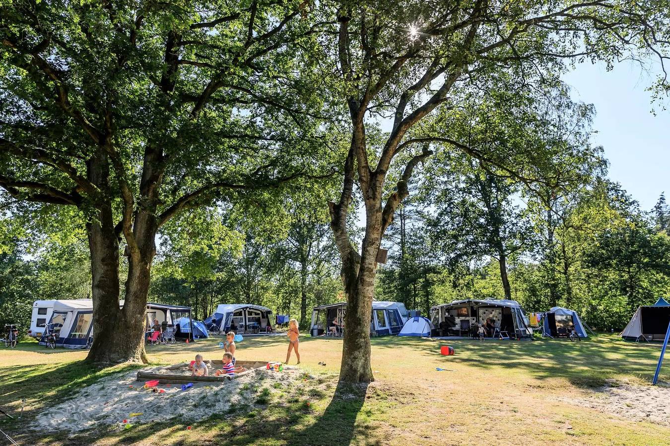 Mobile home de Libelle 6 Personen in Friesland