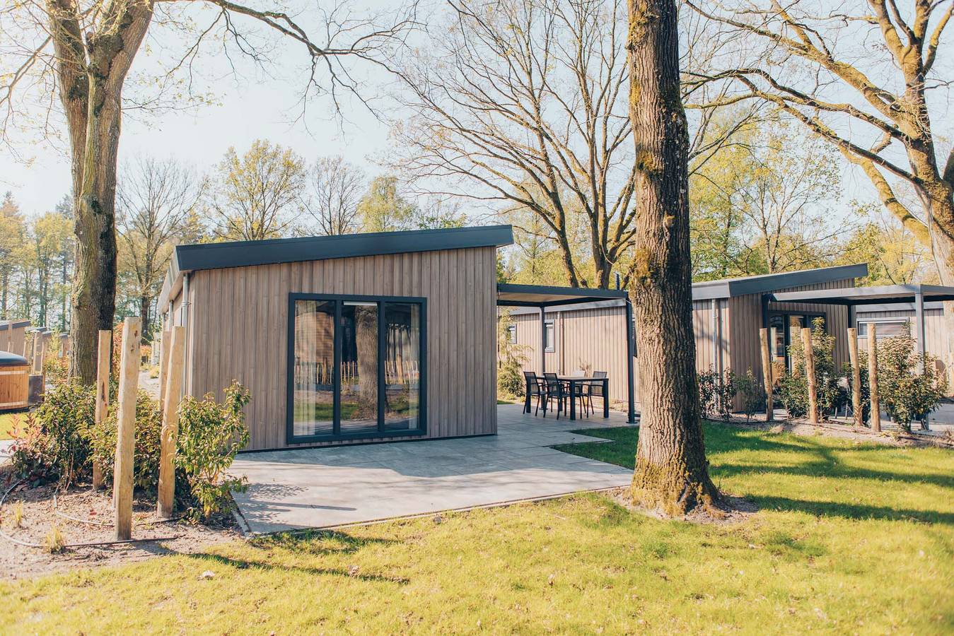 Veluwepark de Bosgraaf — Loevestein Comfort | 5 personen in Veluwe