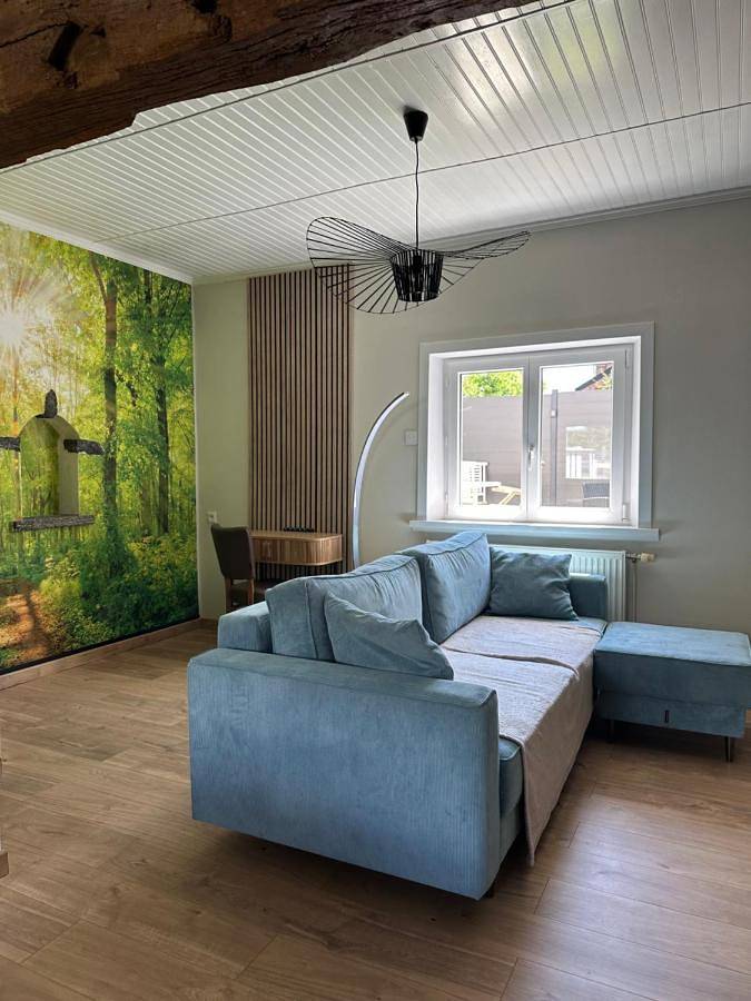 Location de vacances pour 6 personnes, avec jardin et terrasse à Solre-le-Château - 4