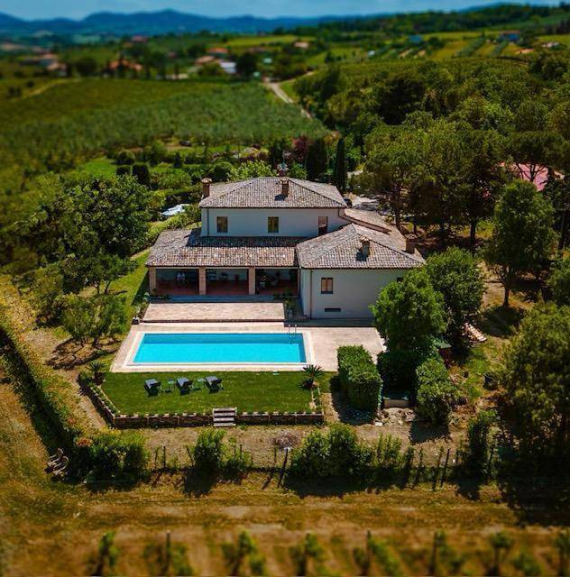 Villa con piscina per 12 persone, con panorama e piscina nonché giardino, con animali domestici a Rimini