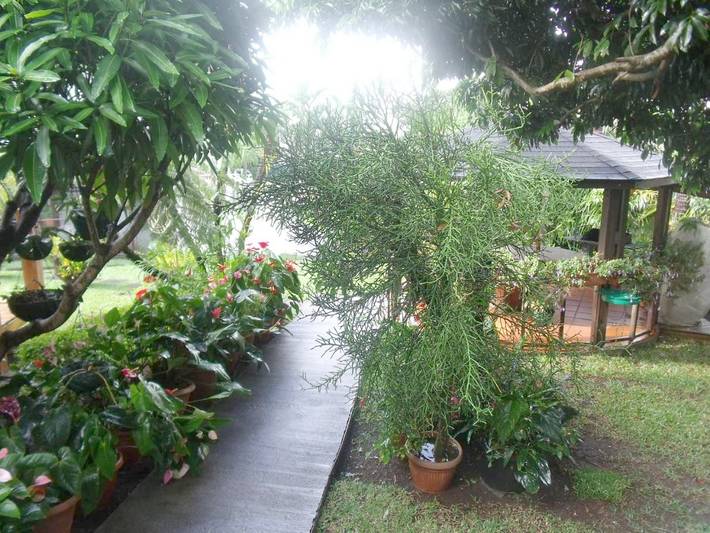 Location de vacances pour 4 personnes, avec vue et jardin dans Trois Mares - 3