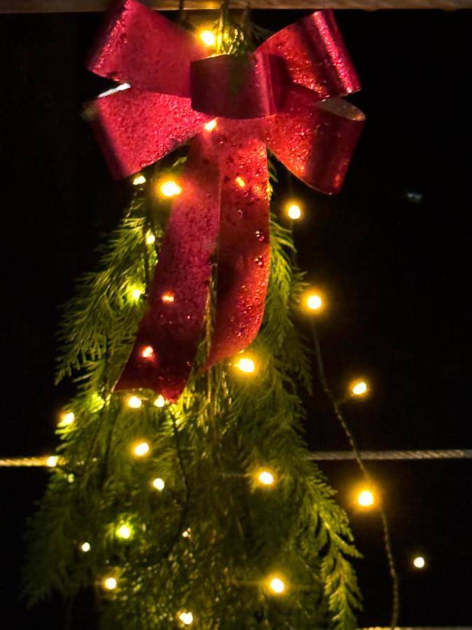 Location de vacances pour 8 personnes, avec vue ainsi que jardin et piscine, animaux acceptés à Caurel - 4