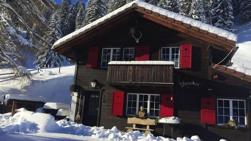 Ferienhaus für 4 Personen, mit Terrasse und Garten, mit Haustier in Adelboden