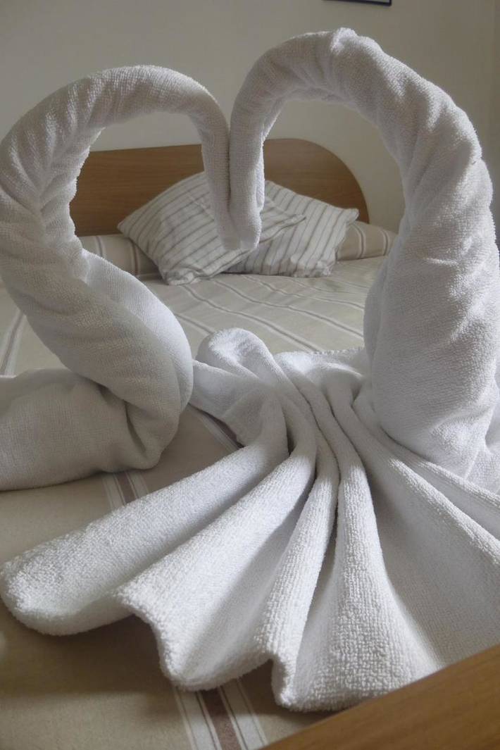 Chambre d’hôte pour 3 personnes, avec vue et jardin, animaux acceptés dans Alpe Devero - 3