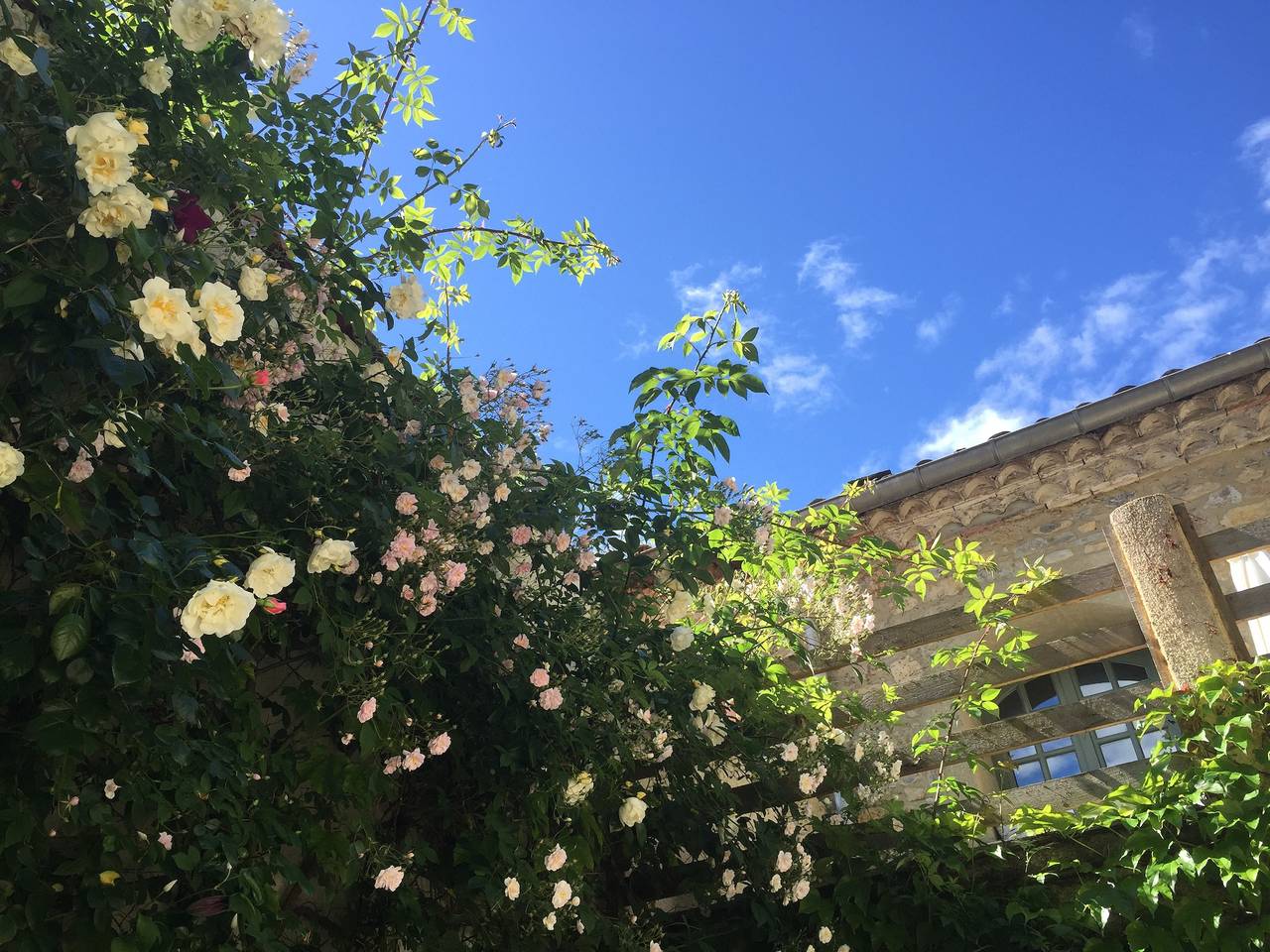 La Bastide des roses in La Bastide-sur-l'Hers, Ariège