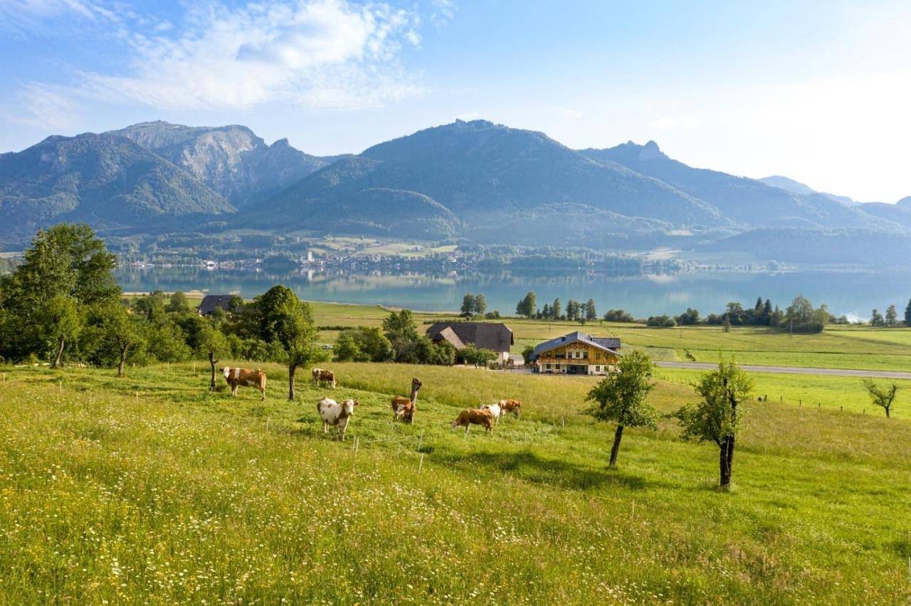 Ganze Wohnung, Fumerhof in Salzkammergut-Berge, Strobl