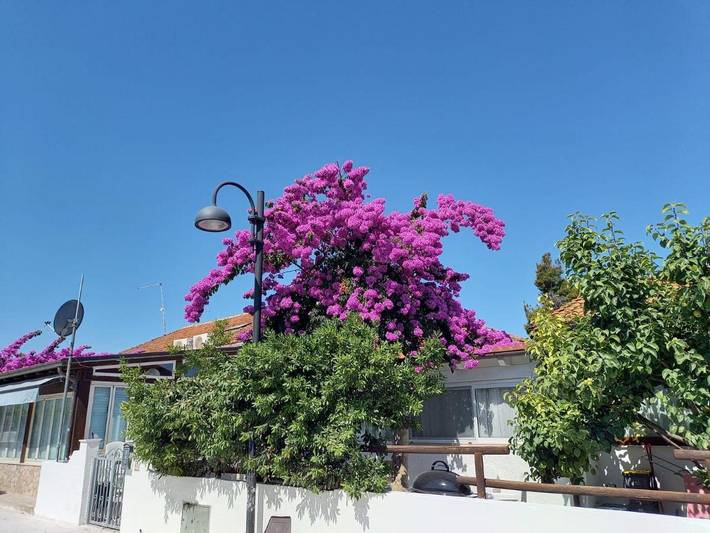 Ferienwohnung für 4 Personen, mit Garten - 1