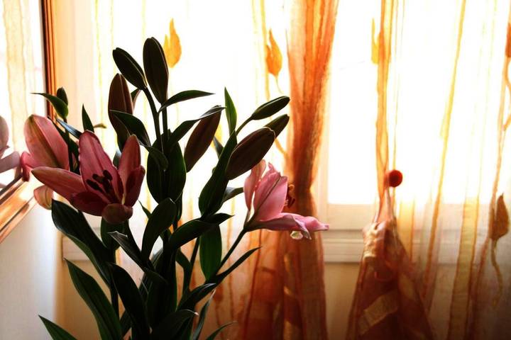 Location de vacances pour 5 personnes à Mogliano Veneto - 3