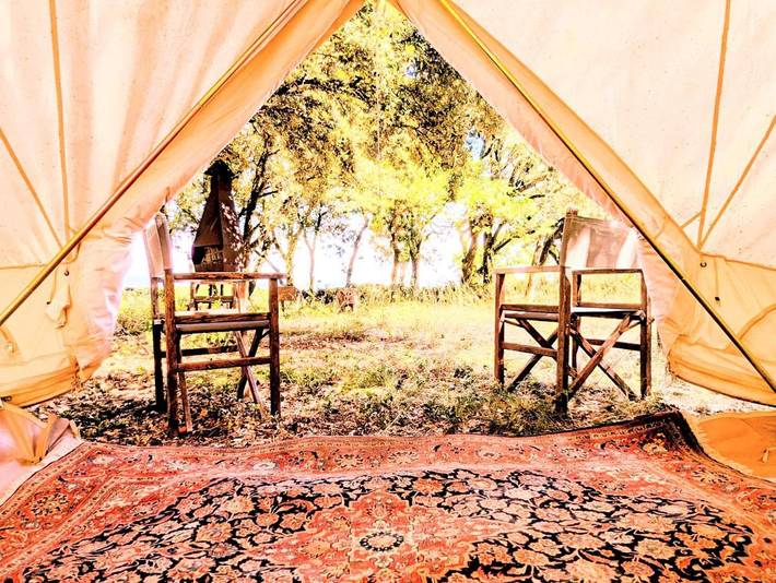 Camping pour 19 personnes, avec vue, animaux acceptés - 1