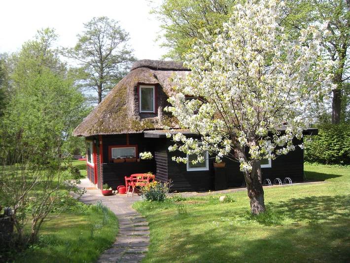 Ferienhaus für 4 Personen, mit Terrasse und Sauna in Malente - 2