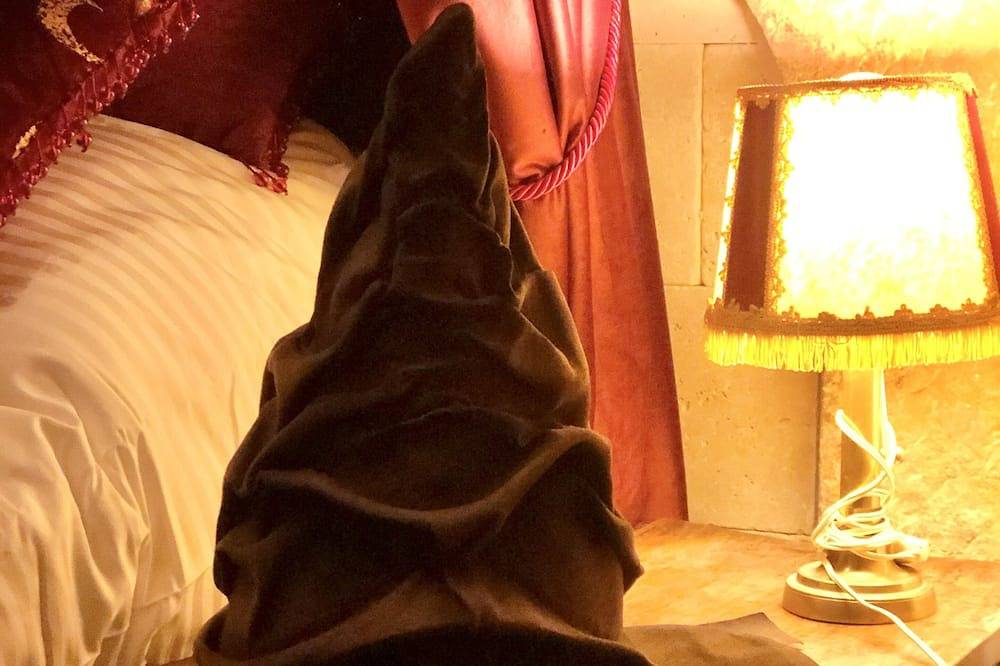 Ganze Wohnung, Harry Potter Magic in Dijon, Dijon und Umgebung