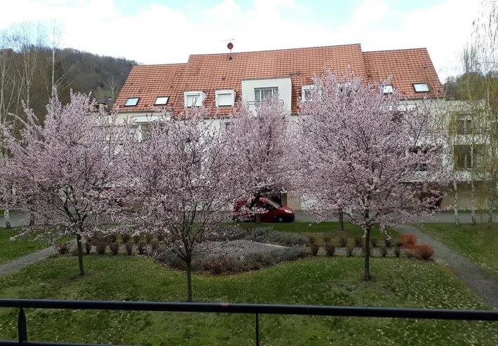 Appartement de vacances pour 4 personnes, avec jardin - 1