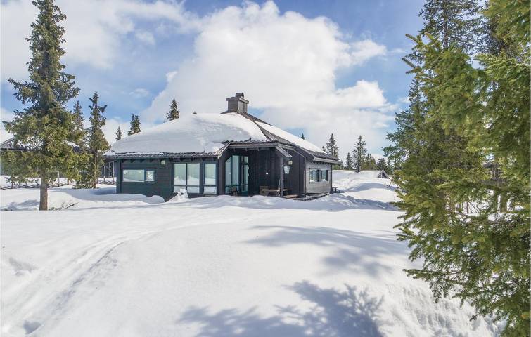Location de vacances pour 8 personnes, avec sauna dans Sjusjoen - 2