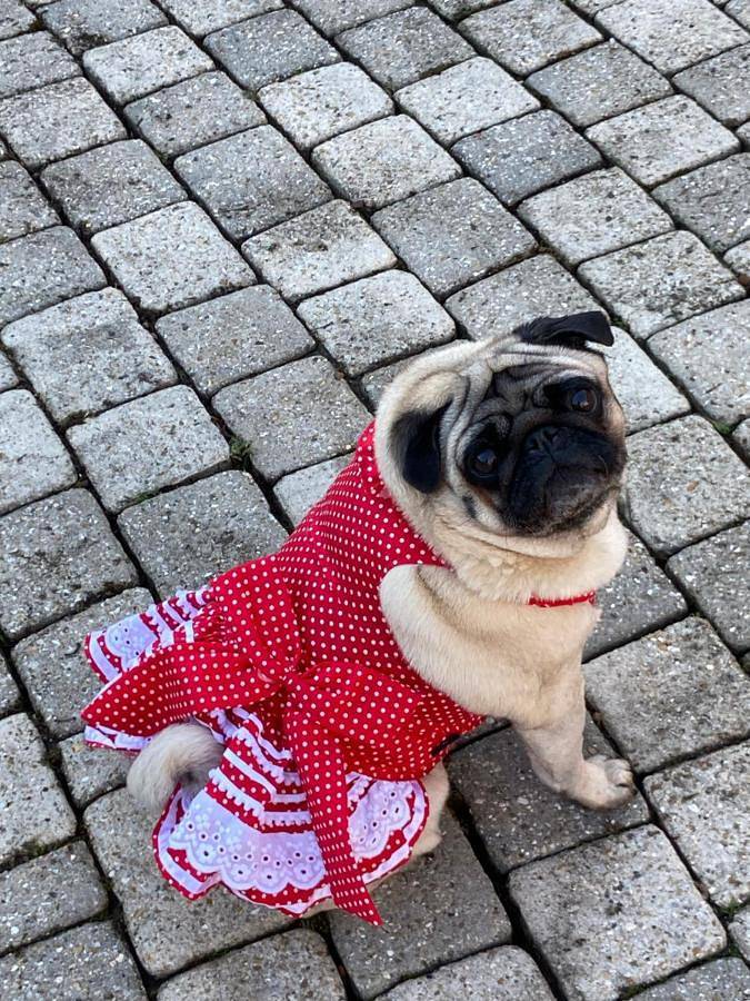 Gîte pour 2 personnes, avec jardin à Giverny - 2