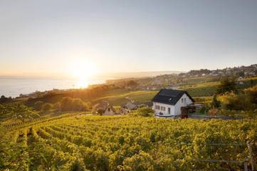 BnB für 3 Personen, mit Garten und Ausblick sowie Seeblick und Terrasse in der Schweiz
