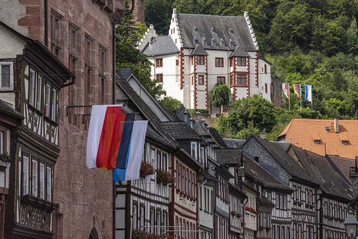 Ferienwohnung für 2 Personen, mit Balkon und Balkon/Terrasse in Main-Odenwald - 2