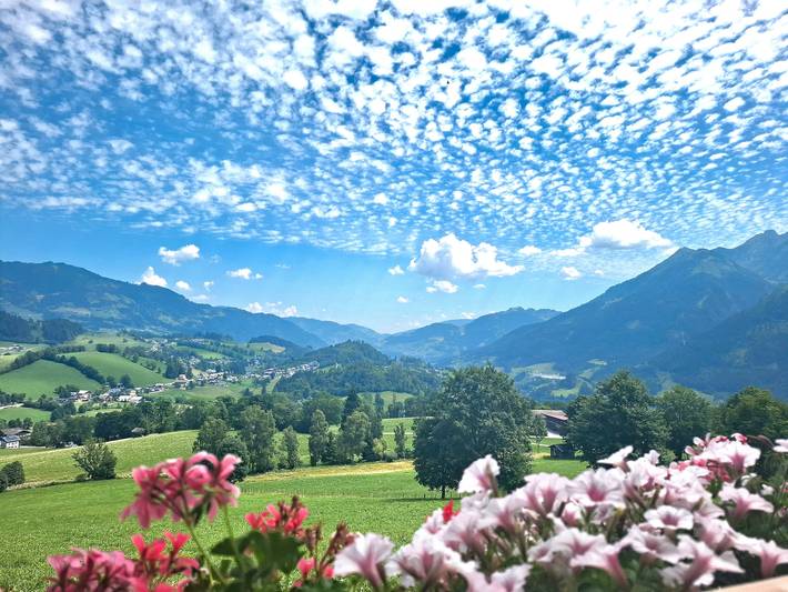 Holiday apartment for 4 people, with garden - 1