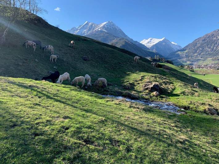 Ferienwohnung für 3 Personen, mit Garten und Balkon in Matrei in Osttirol - 3