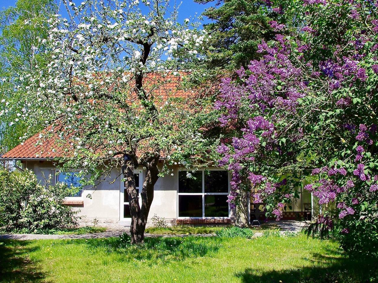 Ferienhaus Am Wald in Malchiner See, Basedow