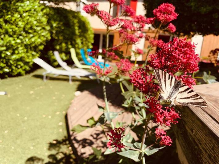 Location de vacances pour 7 personnes, avec piscine et jardin à Loriol-du-Comtat - 2