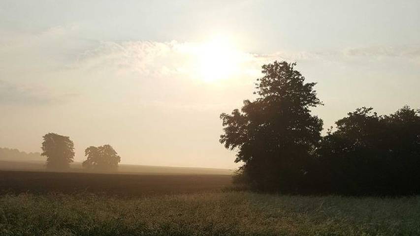 Ferienwohnung für 3 Personen, mit Garten in Blankensee (Mecklenburg) - 4