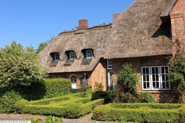 Ganze Ferienwohnung, Reethus We 2, Föhrkiek in Borgsum, Föhr