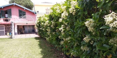 Villa per 7 Persone in Acireale, Catania e dintorni, Foto 1