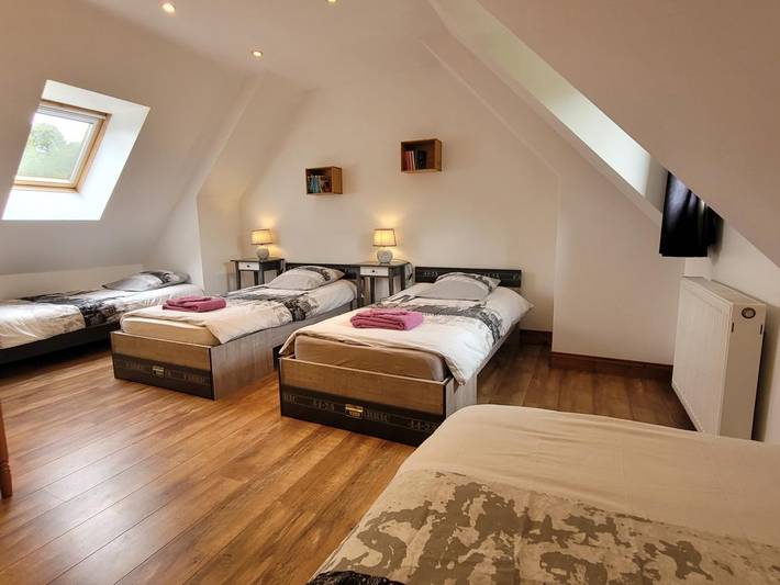 Gîte pour 15 personnes, avec jardin, animaux acceptés à Isigny-le-Buat - 4